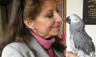 20 of the Most Touching Animal Stories Ever