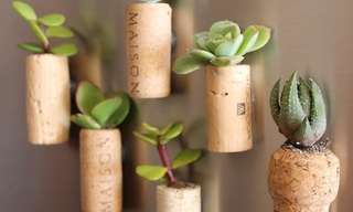 Unique Home-Made Plant Pots Ideas.