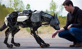 The Coolest Robot Animals Ever Created