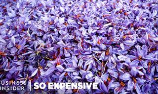 Saffron - the Most Expensive Spice on Earth