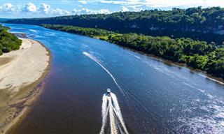 A Traveler's Guide to Routes Covered in Amazon River Cruises from Peru