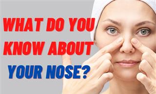 QUIZ: What Do You Know About Your Nose?