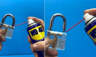 10 New and Clever Uses of WD-40!