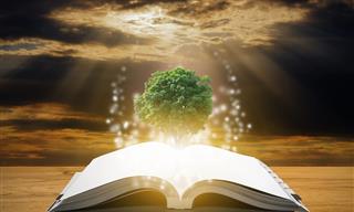 Facts to Boost Your Knowledge