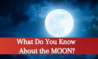 QUIZ: How Much Do You Know About the MOON?