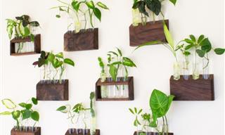 10 Creative Ways to Create a Hanging Garden