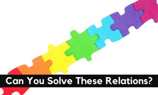 Take Our Test: Can You Figure Out the Relations?