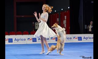 This Dog Can Really Dance!