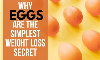 Eggs: the Simplest Food to Help You Shed That Extra Weight