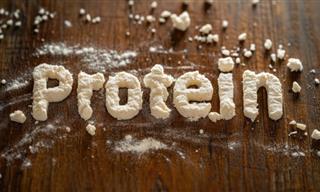 Protein: Losing Fat While Keeping Muscle