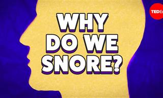 Why Do We Snore? - Educational!