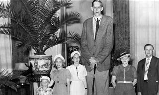 At 8'11" Robert Wadlow Was the World's Tallest Man