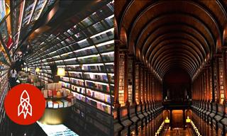 Enter the World of These Amazing & Unique Libraries