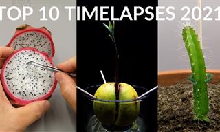 Time Lapse Extreme: Over 800 Days in 8 Minutes