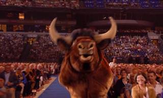 When André Rieu Brings an Ox to the Show...
