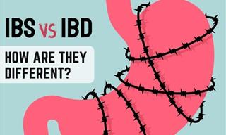 IBS vs. IBD - How Are They Similar and Different?