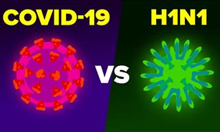 What Makes COVID-19 Different From the H1N1 Swine Flu