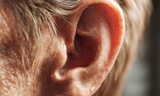 What Makes Our Ears Longer?