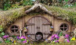 Adorable - Man Builds A Whimsical Village For Mice