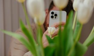 Use Your iPhone Camera to Identify Plants and Animals