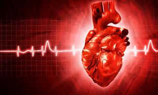 Heart Arrhythmia: What is it and How to Live With It