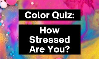 QUIZ: This Color Test Will Determine How Stressed You Are
