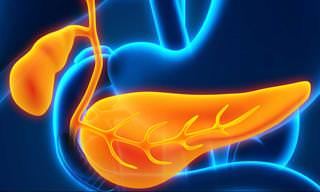 A Guide to Good Gallbladder Health
