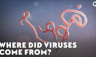 The Origins Story of Viruses and How They Can Alter Our DNA