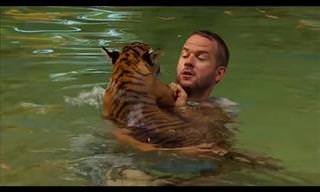 Tiger Cubs' First Time Swimming