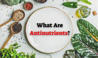 Are Antinutrients Harmful? Everything You Need to Know