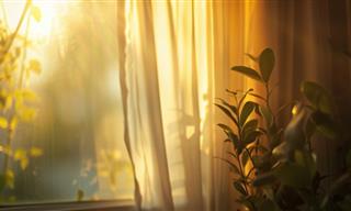 Blocking Out The Heat: Curtains, Blinds, And Window Tricks