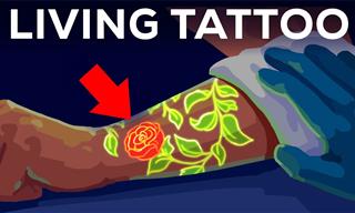 How Our Body Reacts to a Tattoo