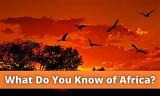 QUIZ: What Do You Know About Africa?