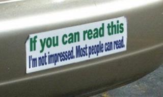 These 15 Bumper Stickers Are a Real Hoot!
