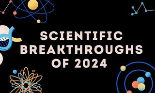 2024 Was a Groundbreaking Year for Science!