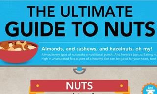 The Ultimate Guide to Nuts