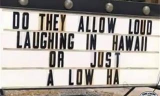 A Bundle of Laughs From Me to You - 18 Funny Signs