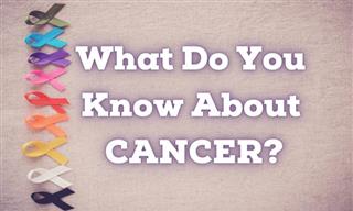 QUIZ: What Do You Know About CANCER?