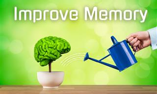Professional Tips and Advice for Improving Memory