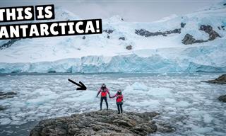 Visiting Antarctica Is Such a UNIQUE Experience
