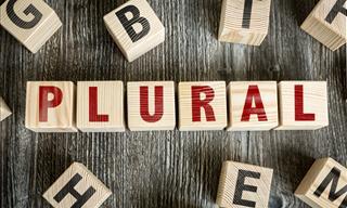 Quiz: Can You Identify the Correct Plurals?