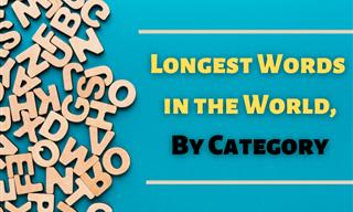 Let’s Learn About 7 of the Longest Words, By Category