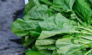 Mustard Greens: The Leaves With Plenty to Offer Your Health