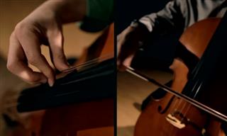 Listen to the Haunting Melodies of the Bach's Cello Song