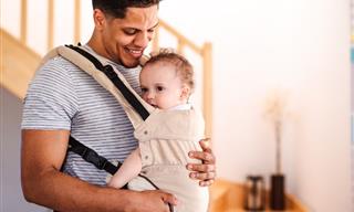All About Koala Parenting