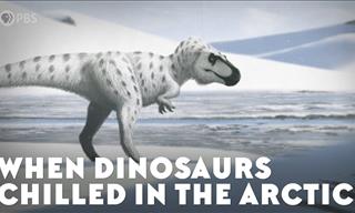 Discover the Lost World of Arctic Dinosaurs