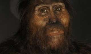 Realistic Reconstructions of Human Ancestors