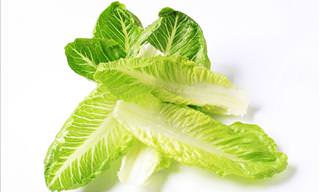 Romaine Lettuce E-coli Outbreak