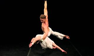 Elegant Duet: Dancing on Ground and Air