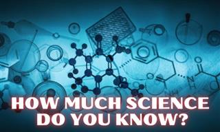 How Much Science Trivia Can You Answer?